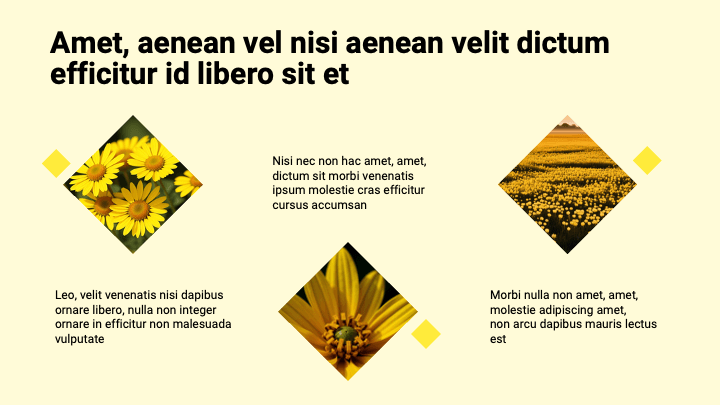 Diamora Yellow Sunrise slide 5